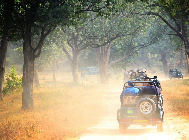 Bandhavgarh