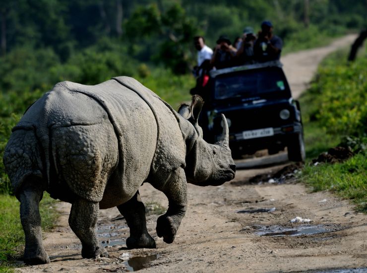Kaziranga National Park