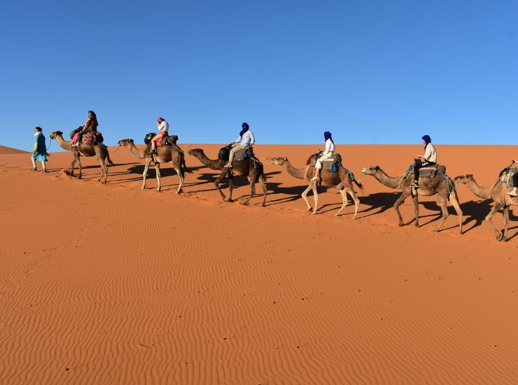 Desert Adventure & Safari Tour
