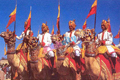 Grand Mughal & Rajputs