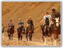 DayThar Desert to the Aravalli Hills